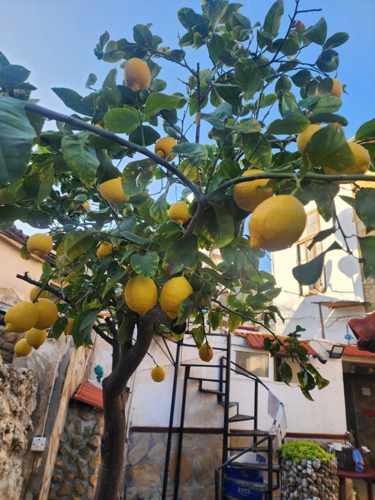 Aksaray Boutique Hotel Nicosia Buitenkant foto